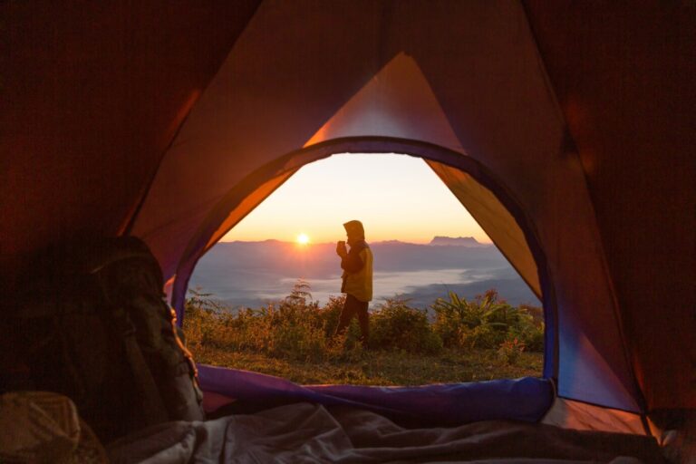 Read more about the article Beginner’s Guide to Camping in the UAE: What to Know Before You Go